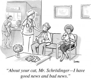 schrodingers cat