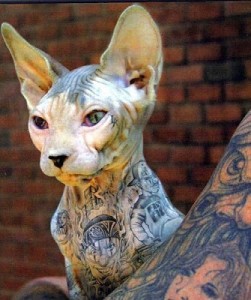 tattooed pet and owner